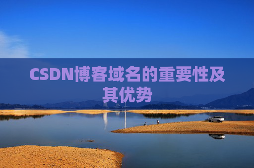 CSDN博客域名的重要性及其优势